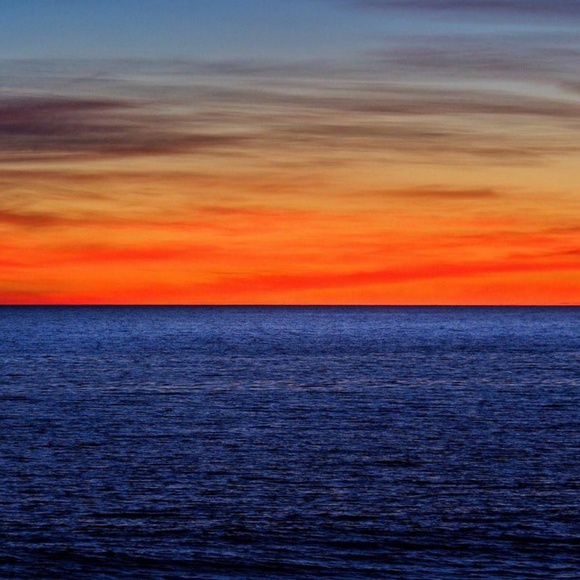 Meet your Posher, Kayden - Picture 1 of 1